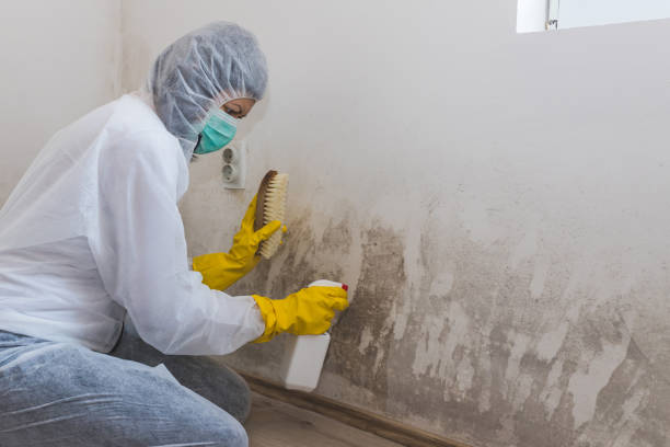 Professional Mold Removal in Kiefer, OK