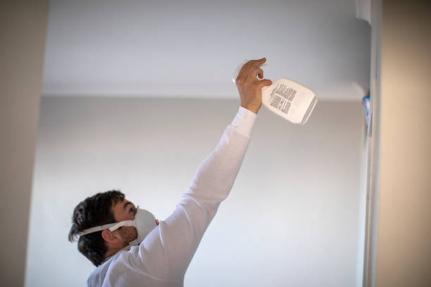 Best Affordable Mold Removal  in Kiefer, OK