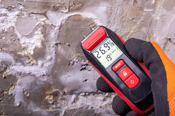 Home Mold Removal in Kiefer, OK