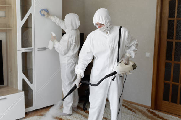 Best Professional Mold Removal  in Kiefer, OK
