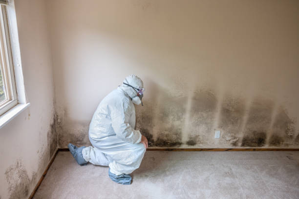 Best Residential Mold Removal  in Kiefer, OK