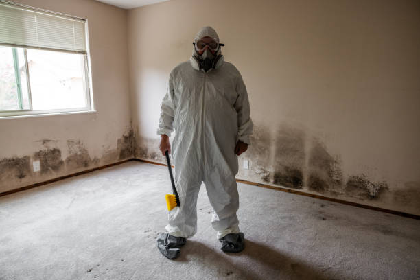 Best Emergency Mold Removal  in Kiefer, OK