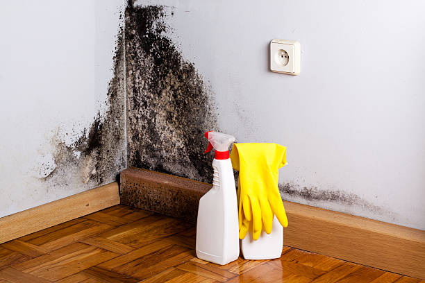 Best Mold Removal Near Me  in Kiefer, OK