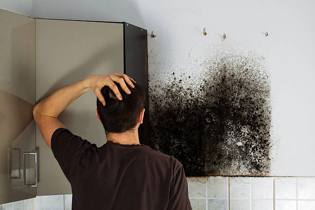 Best Same-Day Mold Removal  in Kiefer, OK